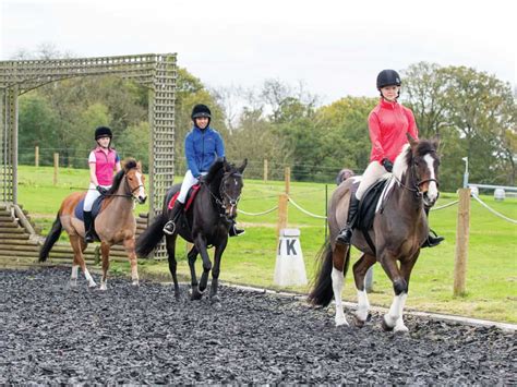 asstr horse|A Dreamy Riding Lesson For Annette .